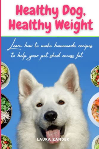 Beispielbild fr Healthy Dog, Healthy Weight: Learn how to make homemade recipes to help your pet shed excess fat zum Verkauf von GreatBookPrices