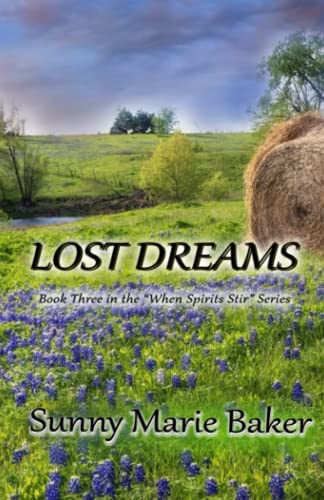 Stock image for Lost Dreams for sale by PBShop.store US