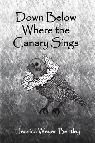 Stock image for Down Below Where the Canary Sings for sale by PBShop.store US