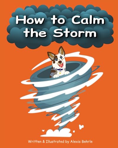 Beispielbild fr How to Calm the Storm zum Verkauf von PBShop.store US
