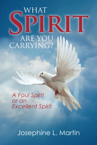 Stock image for What Spirit are You Carrying? A Foul Spirit or an Excellent Spirit for sale by Red's Corner LLC