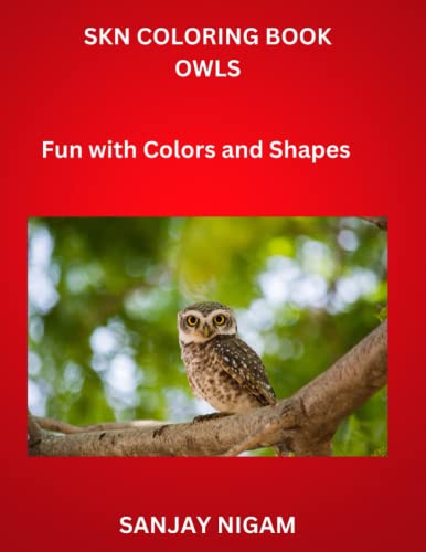 Imagen de archivo de Skn Coloring Book Owls a la venta por PBShop.store US