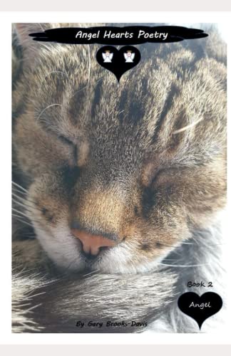 Stock image for Angel Hearts Poetry: Book 2 for sale by Ria Christie Collections