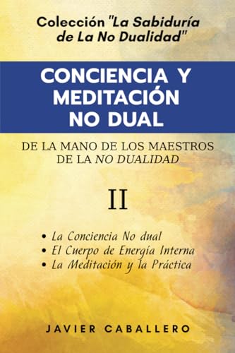 Stock image for Conciencia Y Meditaci?n No Dual for sale by PBShop.store US