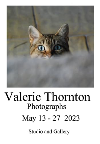 Stock image for Valerie Thornton Exhibition for sale by PBShop.store US