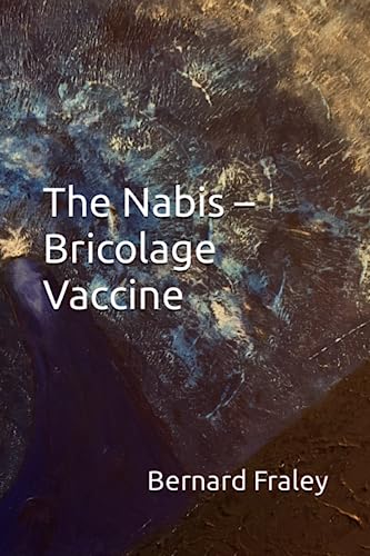 Stock image for The Nabis - Bricolage Vaccine for sale by PBShop.store US