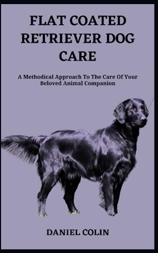 Stock image for FLAT COATED RETRIEVER DOG CARE: A Methodical Approach To The Care Of Your Beloved Animal Companion for sale by Ria Christie Collections