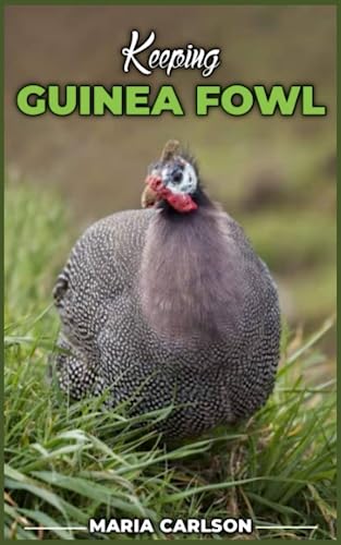 Stock image for Keeping GUINEA FOWL: The Ultimate Guide to Raising Guinea Fowl for sale by GreatBookPrices