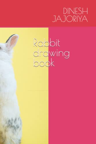 9798411966114: Rabbit drawing book