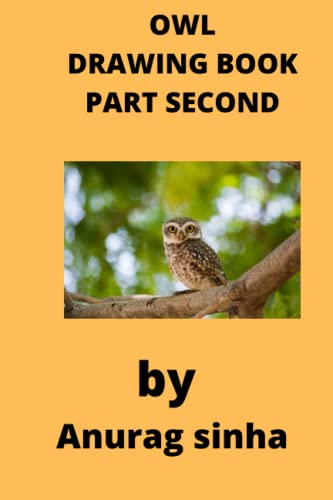 Stock image for OWL DRAWING BOOK for sale by Ria Christie Collections