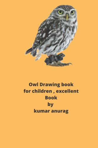 Imagen de archivo de OWL DRAWING BOOK : PART THREE a la venta por Ria Christie Collections