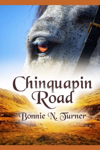 Stock image for Chinquapin Road for sale by GreatBookPrices