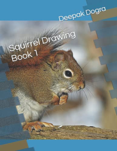 Stock image for Squirrel Drawing Book 1 for sale by Ria Christie Collections