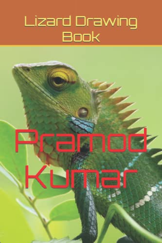 Stock image for Lizard Drawing Book for sale by Ria Christie Collections