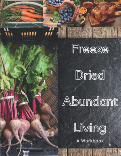 Stock image for Freeze Dried Abundant Living: A Workbook for sale by SecondSale