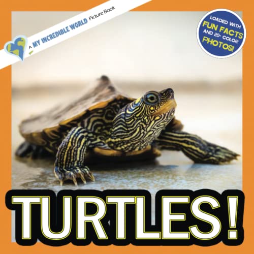 Imagen de archivo de Turtles!: A My Incredible World Picture Book for Children (My Incredible World: Nature and Animal Picture Books for Children) a la venta por HPB-Movies