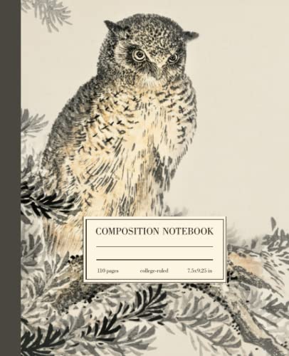 9798440281585: Composition Notebook College Ruled: Owl Vintage Botanical Illustration | Cute Bird Aesthetic Journal For School, College, Office, Work | Wide Lined