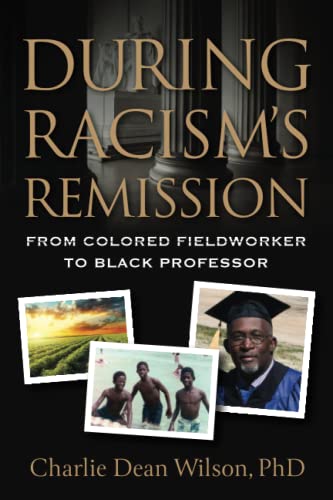Stock image for During Racism's Remission for sale by PBShop.store US