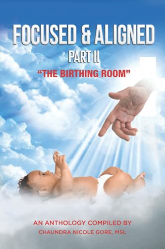 Stock image for Focused & Aligned Part II: "The Birthing Room" for sale by Ria Christie Collections