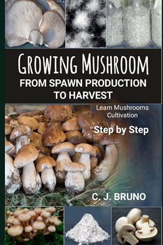 9798456519986: Growing Mushroom From Spawn Production to Harvest: Learn Mushrooms Cultivation Step by Step
