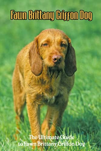 Stock image for Fawn Brittany Griffon Dog : The Ultimate Guide to Fawn Brittany Griffon Dog: A Guide to Fawn Brittany Griffon Dog Training for sale by AHA-BUCH GmbH