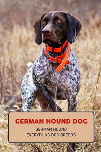 Stock image for German Hound Dog : German Hound Everything Dog Breeds: German Hound Everything Dog Breeds for sale by AHA-BUCH GmbH