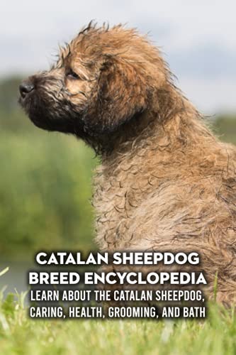 Stock image for Catalan Sheepdog Breed Encyclopedia : Learn about The Catalan Sheepdog, Caring, Health, Grooming, and Bath: Catalan Sheepdog Profile for sale by AHA-BUCH GmbH
