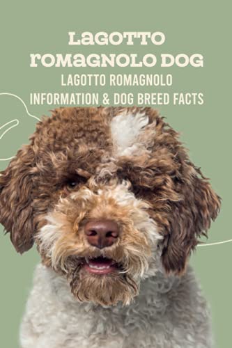 Stock image for Lagotto Romagnolo Dog : Lagotto Romagnolo Information & Dog Breed Facts: How Well Do You Know About Lagotto Romagnolo Dog? for sale by AHA-BUCH GmbH