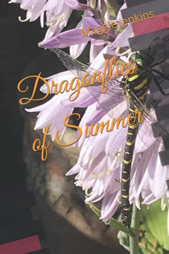 Beispielbild fr Dragonflies of Summer zum Verkauf von Better World Books