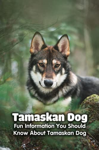 Beispielbild fr Tamaskan Dog: Fun Information You Should Know About Tamaskan Dog: Tamaskan Dog Information, Temperament, Puppies, Pictures zum Verkauf von Ria Christie Collections