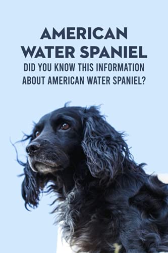 Beispielbild fr American Water Spaniel: Did You Know This Information About American Water Spaniel?: Everything You Need To Know About American Water Spaniel zum Verkauf von Ria Christie Collections