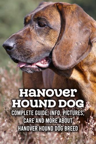 Beispielbild fr Hanover Hound Dog: Complete Guide, Info, Pictures, Care and More About Hanover Hound Dog Breed: Hanover Hound Dog Care Manual zum Verkauf von Ria Christie Collections