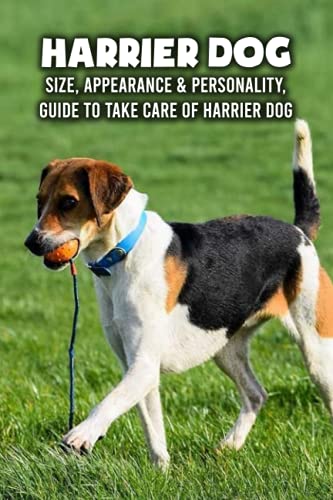 Beispielbild fr Harrier Dog: Size, Appearance & Personality, Guide To Take Care of Harrier Dog: Harrier Dog Encyclopedia zum Verkauf von Ria Christie Collections