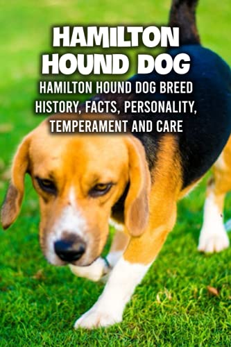 Beispielbild fr Hamilton Hound Dog: Hamilton Hound Dog Breed History, Facts, Personality, Temperament and Care: Hamilton Hound Dog Handbook zum Verkauf von Ria Christie Collections