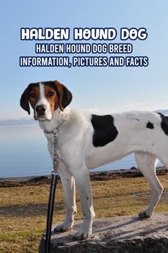 Beispielbild fr Halden Hound Dog: Halden Hound Dog Breed Information, Pictures and Facts: Halden Hound Dog Guide Book zum Verkauf von Ria Christie Collections