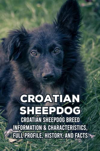 Stock image for Croatian Sheepdog: Croatian Sheepdog Breed Information & Characteristics, Full Profile, History, and Facts: Croatian Sheepdog Profile for sale by Ria Christie Collections