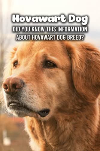 Beispielbild fr Hovawart Dog: Did You Know This Information About Hovawart Dog Breed?: Hovawart Dog Outline Handbook zum Verkauf von Ria Christie Collections