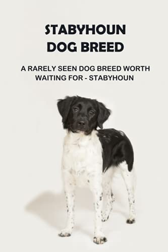 Stock image for Stabyhoun Dog Breed: A Rarely Seen Dog Breed Worth Waiting for - Stabyhoun: Stabyhoun Dog Breed Information, Photos, Traits and Facts for sale by Ria Christie Collections