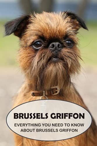 Stock image for Brussels Griffon: Everything You Need to Know About Brussels Griffon: Brussels Griffon Dog Breed Pictures for sale by Ria Christie Collections
