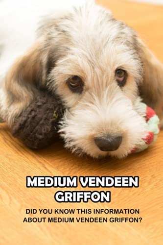 Beispielbild fr Medium Vendeen Griffon: Did You Know This Information About Medium Vendeen Griffon?: Briquet Griffon Vendeen Breed Information zum Verkauf von Ria Christie Collections