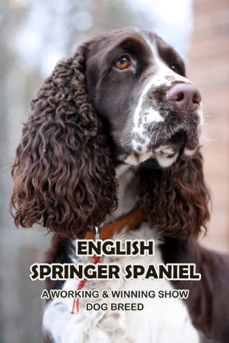 Stock image for English Springer Spaniel: A Working & Winning Show Dog Breed: Getting To Know The English Springer Spaniel for sale by Ria Christie Collections