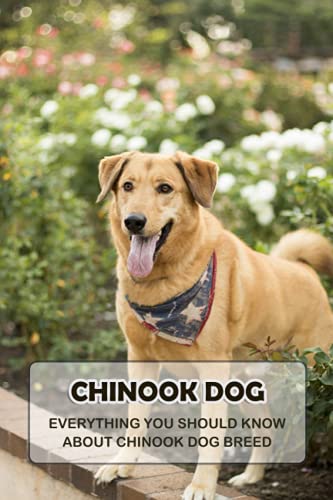 Beispielbild fr Chinook Dog: Everything You Should Know About Chinook Dog Breed: Things You Didn't Know about the Chinook Dog zum Verkauf von Ria Christie Collections