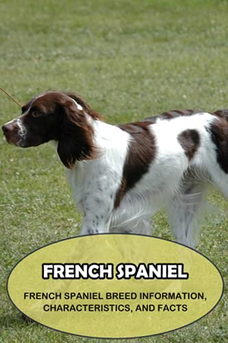 Beispielbild fr French Spaniel: French Spaniel Breed Information, Characteristics, and Facts: Things You Didn't Know about the French Spaniel Dog zum Verkauf von Ria Christie Collections