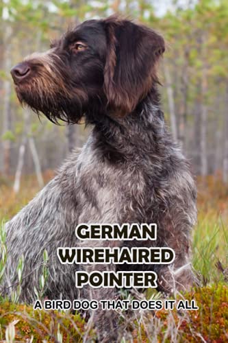 Beispielbild fr German Wirehaired Pointer: A Bird Dog That Does It All: The Ultimate Guide To German Wirehaired Pointer zum Verkauf von Ria Christie Collections