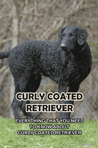 Beispielbild fr Curly Coated Retriever: Everything That You Need to Know About Curly Coated Retriever: How Well You Know ABout Curly Coated Retriever? zum Verkauf von Ria Christie Collections