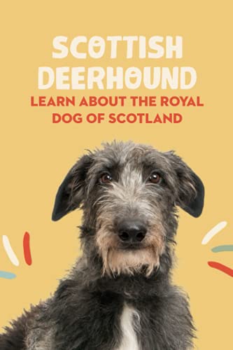 Beispielbild fr Scottish Deerhound: Learn About The Royal Dog of Scotland: Things You Didn't Know about the Scottish Deerhound Dog zum Verkauf von Ria Christie Collections