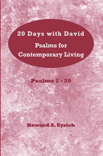 Stock image for 20 Days With David for sale by GreatBookPrices