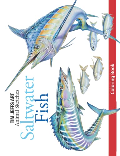 Stock image for Saltwater Fish Coloring Book (Animal Sketches) for sale by Chiron Media