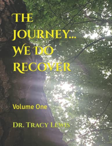 Beispielbild fr The Journey: We Do Recover zum Verkauf von Red's Corner LLC
