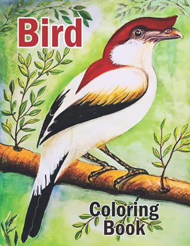 Stock image for Bird Coloring Book for sale by GreatBookPrices